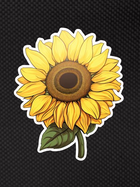 Sonnenblume