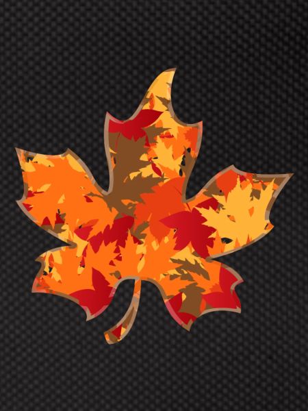 Maple leaf maple leaf