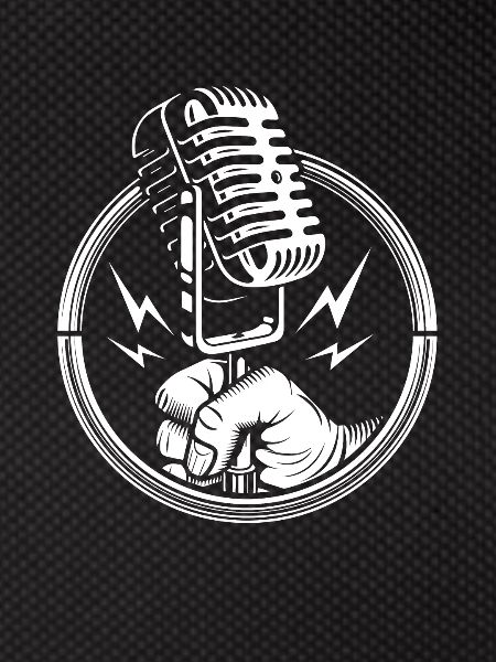Karaoke Microphone