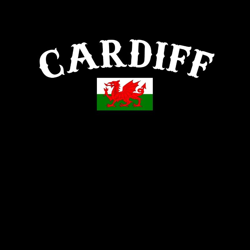 Cardiff Wales Welsh flag Welsh