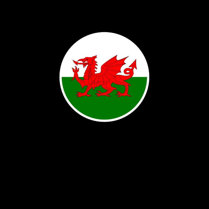 Wales Welsh flag Welsh