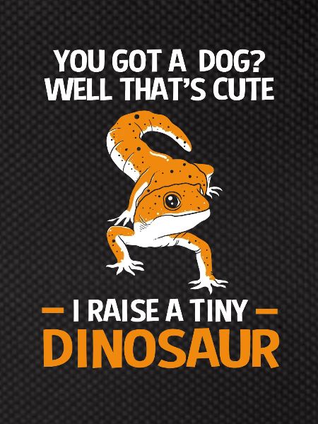 Leopard Gecko