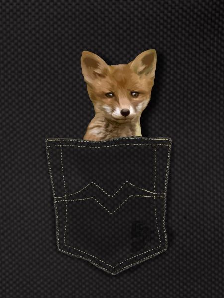 pocket fox by CustomStyle