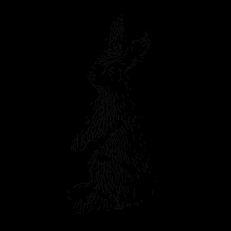 Hase