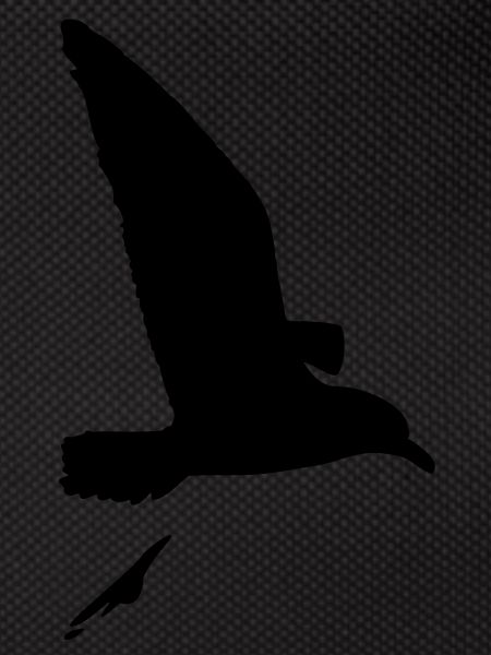 moeve_vogel_shit_f1