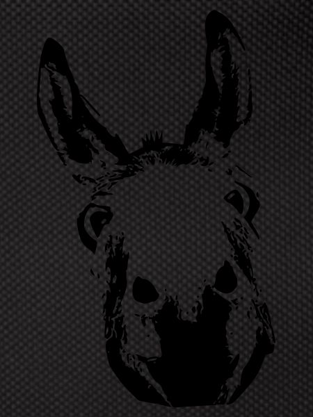 Donkey King