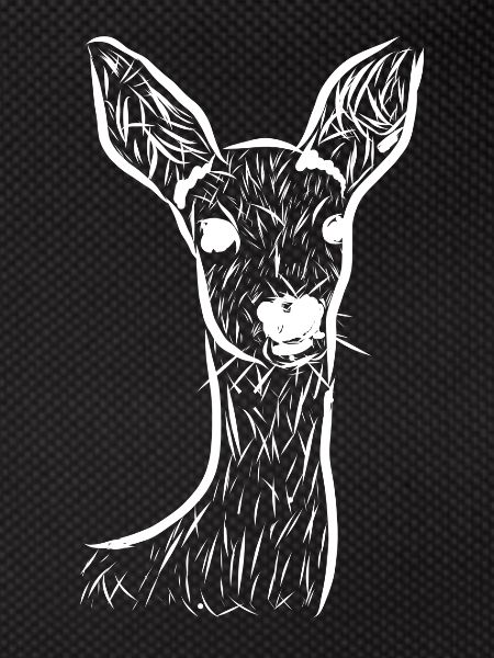 Roe deer