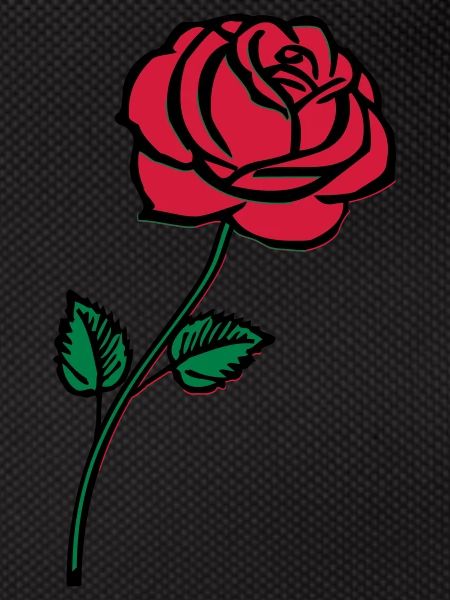rose_002