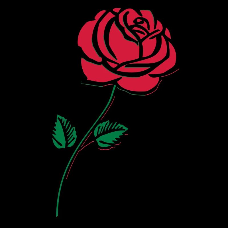 rose_002