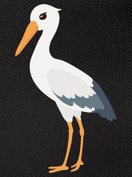 stork