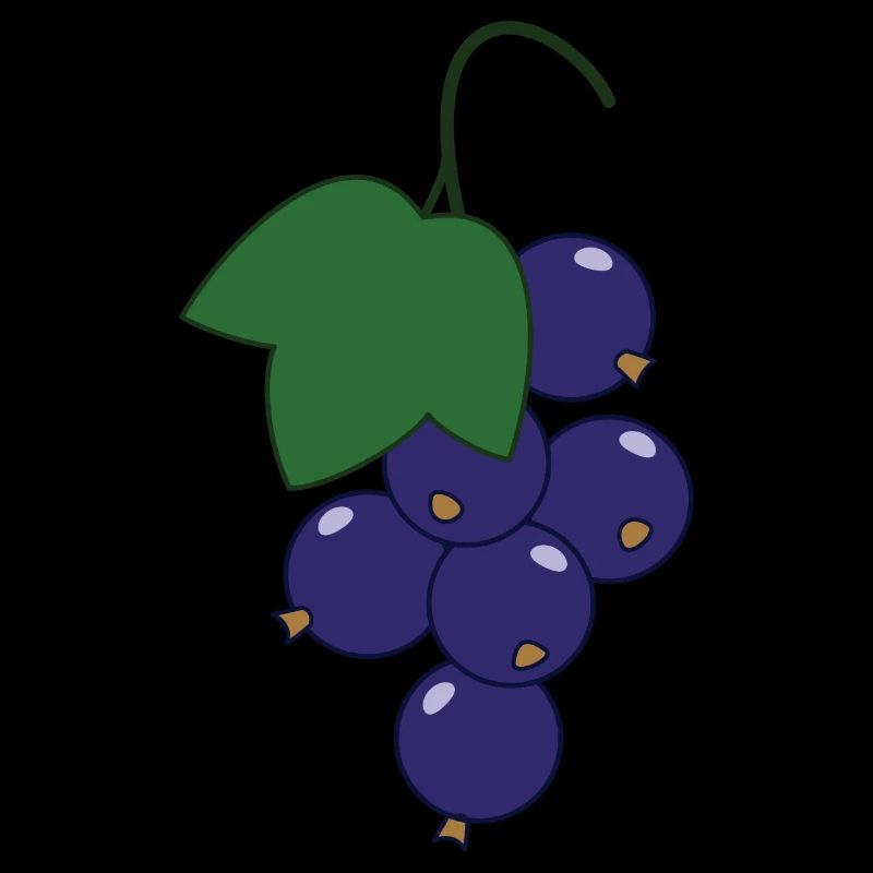 Cassis