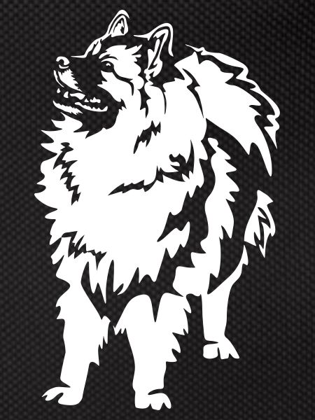 Wolfsspitz "Black Edition"