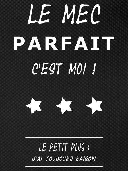 Le mec parfait