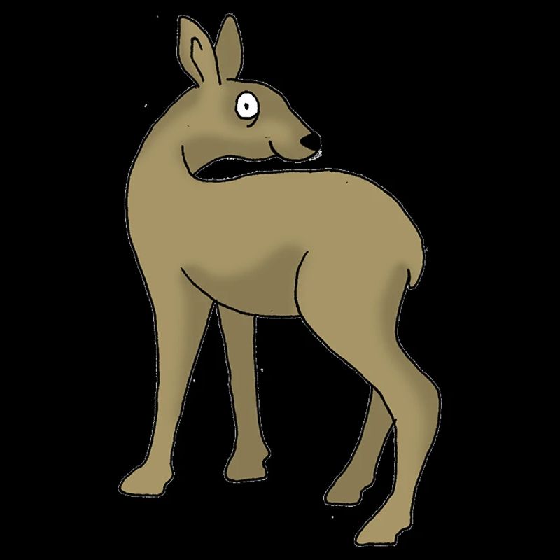 Roe deer