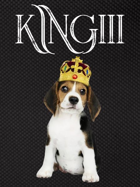 Dog with crown /