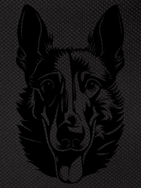 Belgian Shepherd