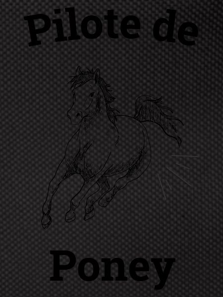 Pony Pilot