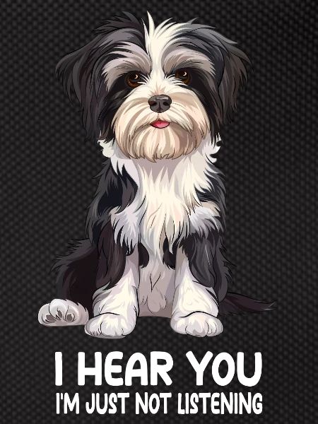 Havanese