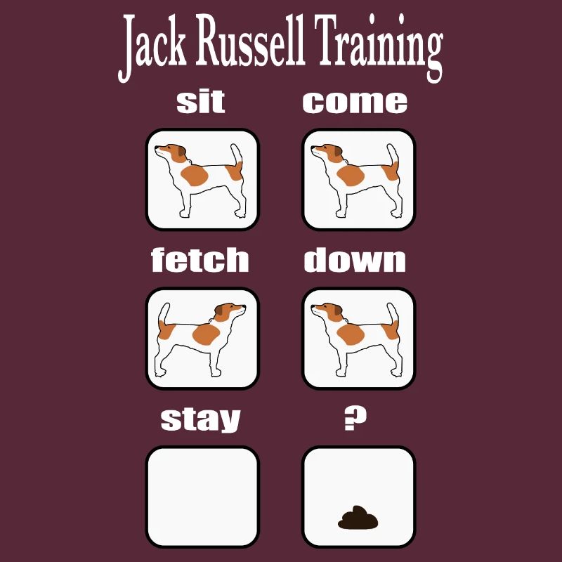 Jack Russell Terrier Training
