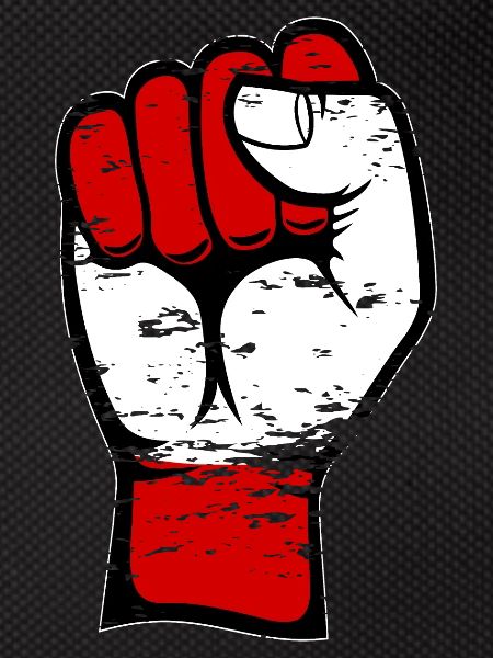 Austria flag fist used