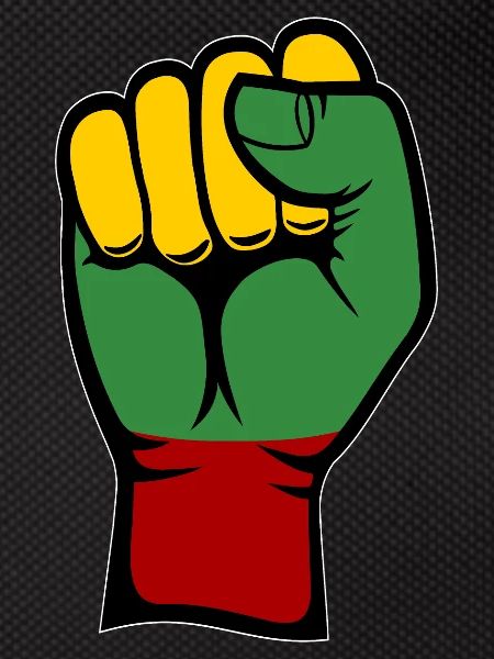 Lithuania Flag Fist