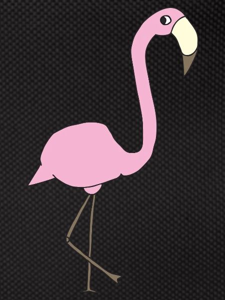 Flamingo Pink