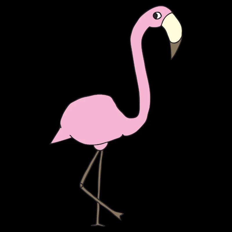 flamingo rosa