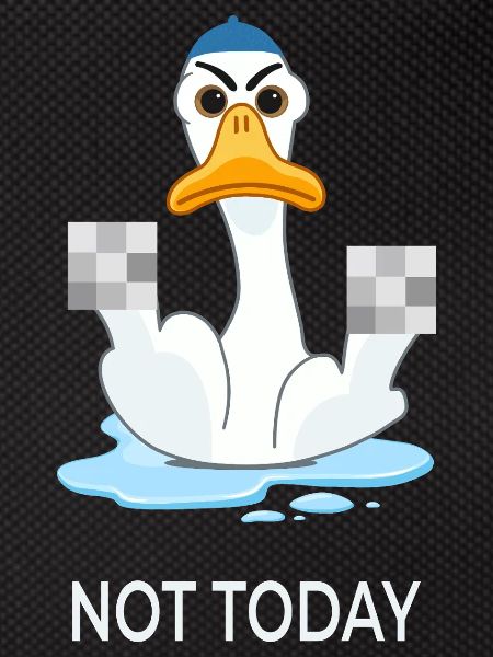 Not Today – Funny Duck Mood