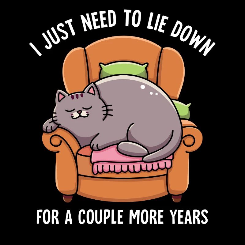Sleeping Lazy Cat