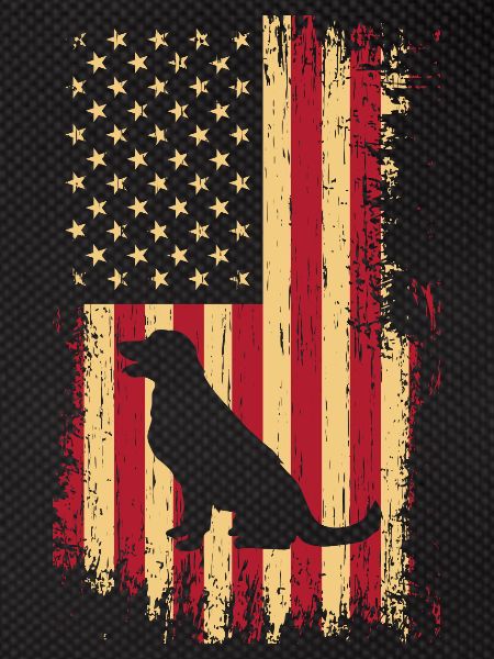Labrador USA flag