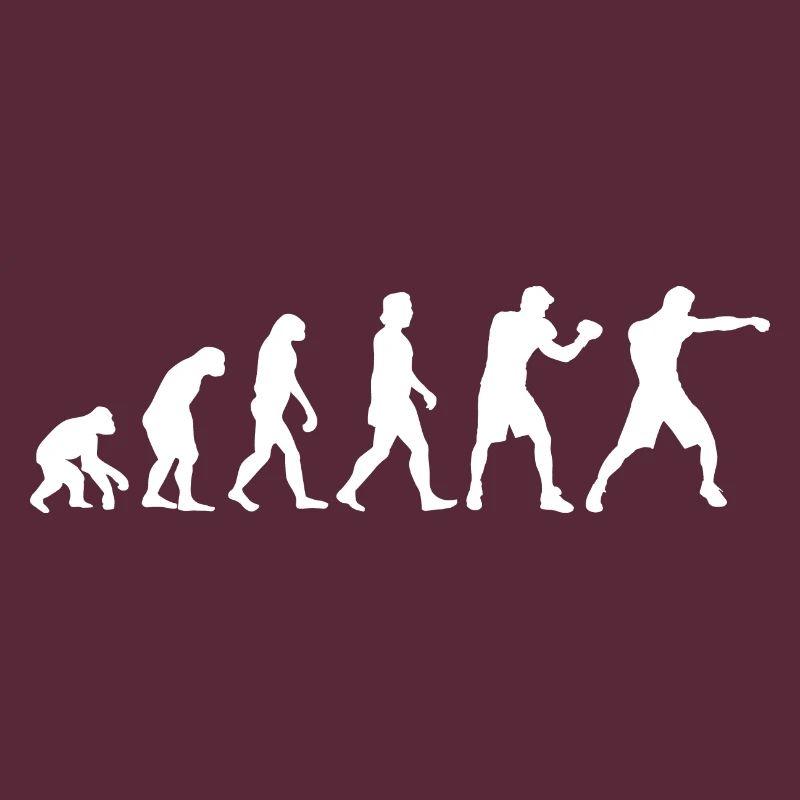 Evolution Boxer Boxhandschuhe Boxen Geschenk