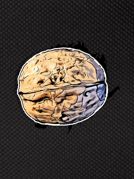 Walnut