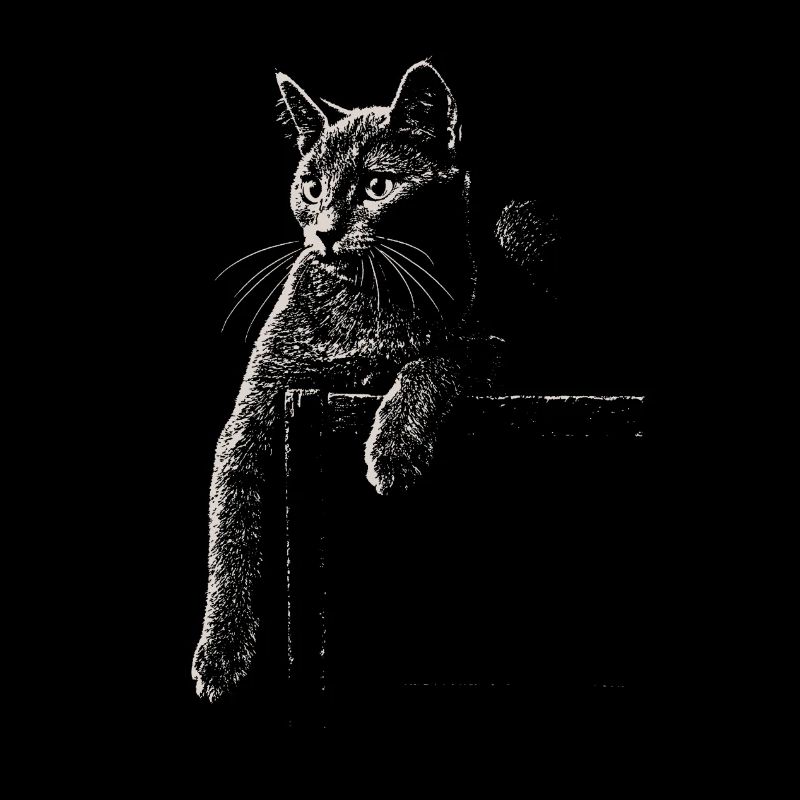 Karthäuser Katze