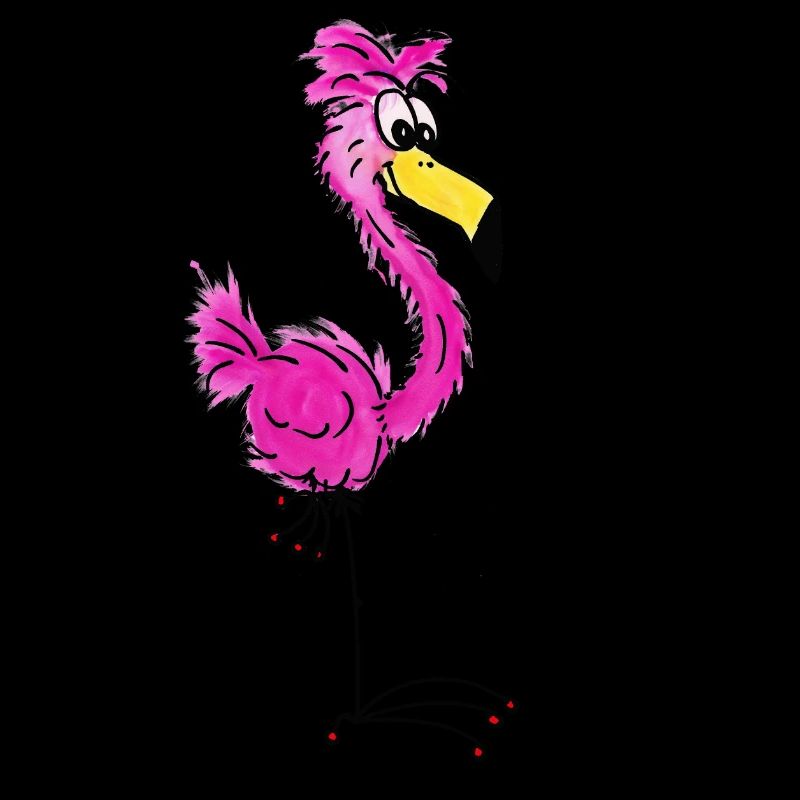 Die Fladders - der Flamingo