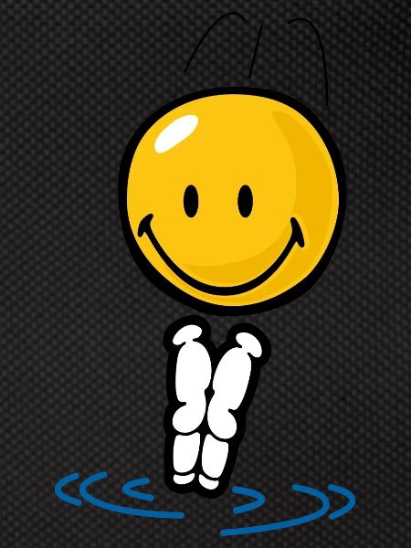 Smiley Diving