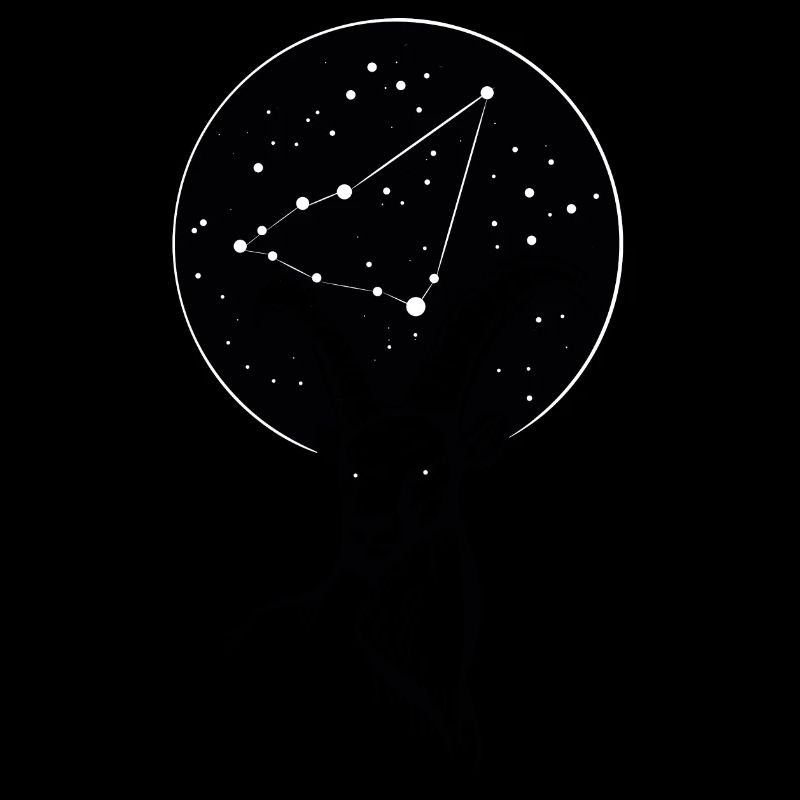 Capricorne