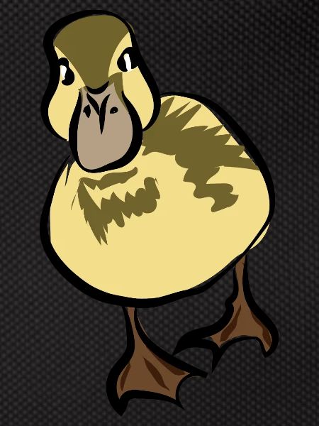 Duck Duck Quak