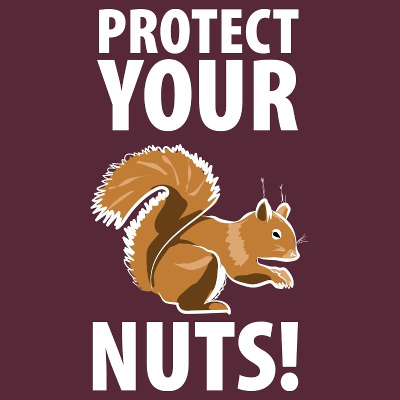 Squirrel Eichhörnchen Dieb Tierpfleger