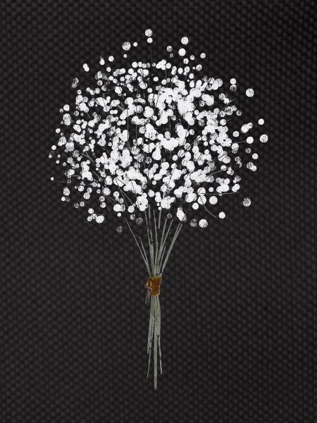 Flower Dandelion
