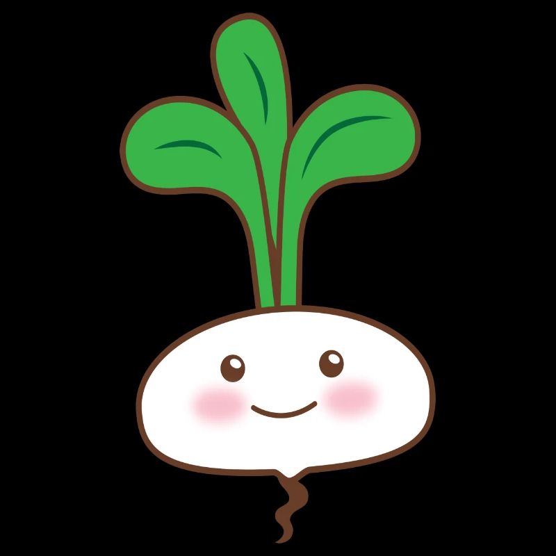 Single white turnip vegetable