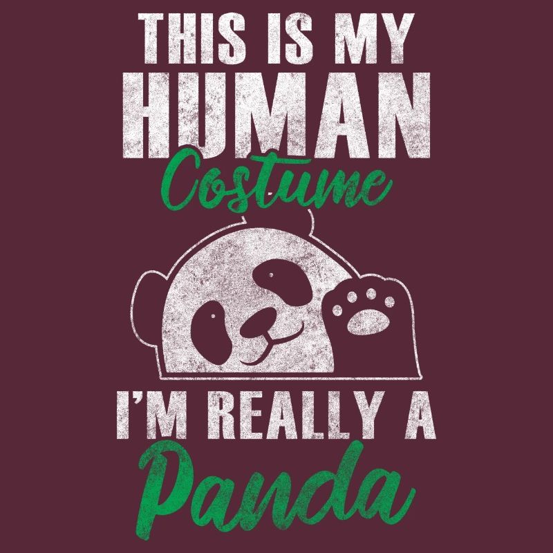 Panda Géant Panda Chine Mignon