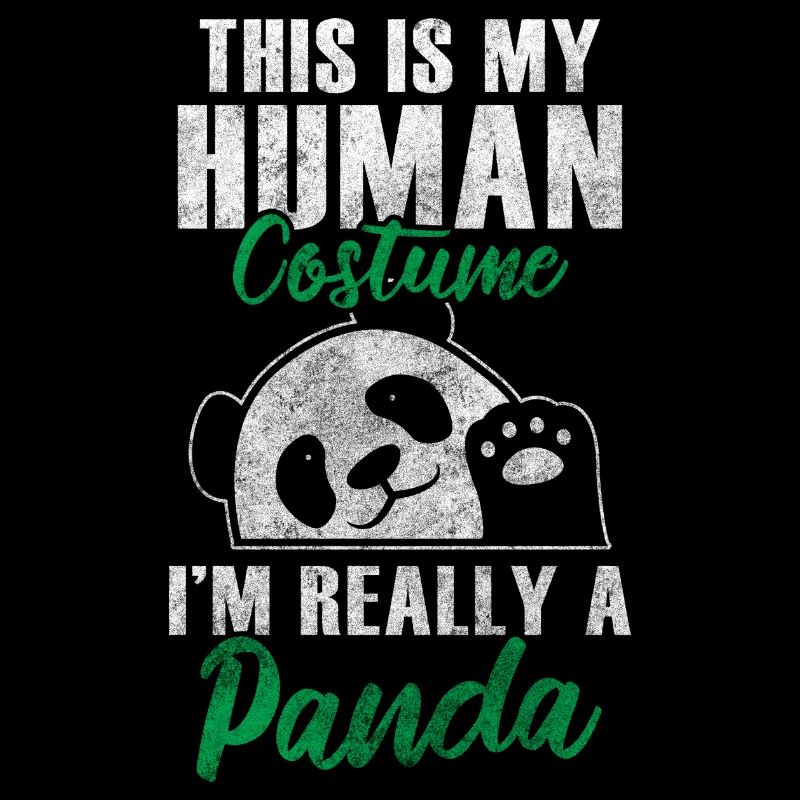 Panda Großer Panda China Niedlich