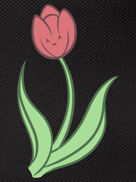 Tulipe douce