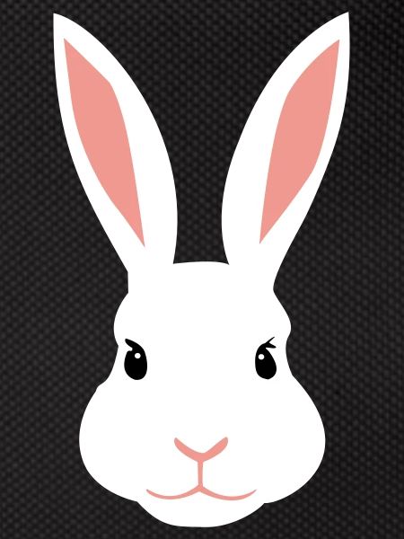 Lapine blanche