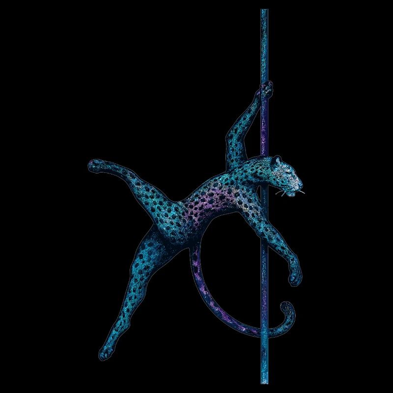 Pole Dance Leopardin Poledancerin Stange Geschenk