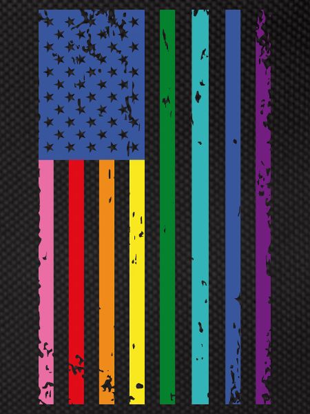 Rainbow USA Flag