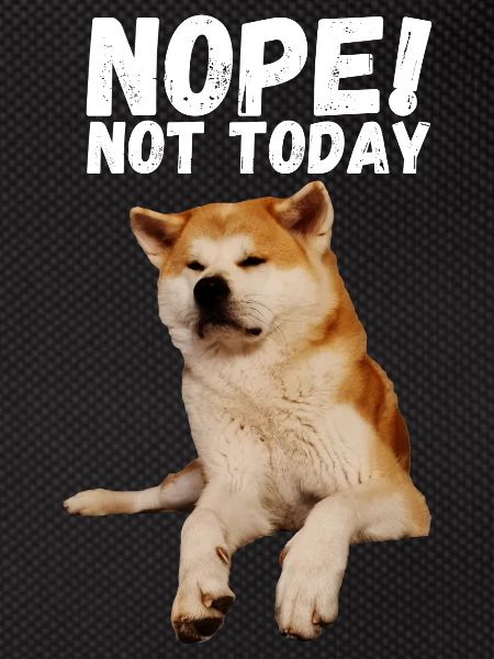 Akita Nope not today