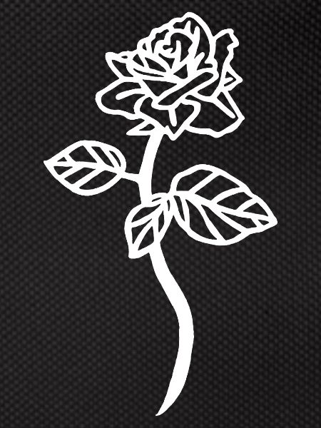 The White Rose