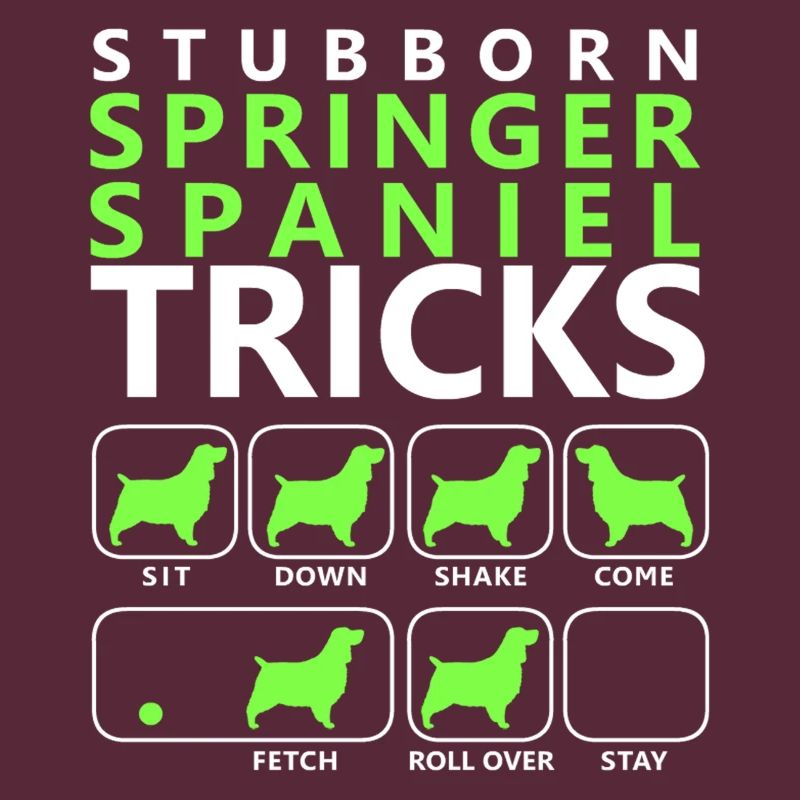 Stubborn Springer Spaniel Tricks