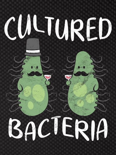 Cultured bacteria with hat